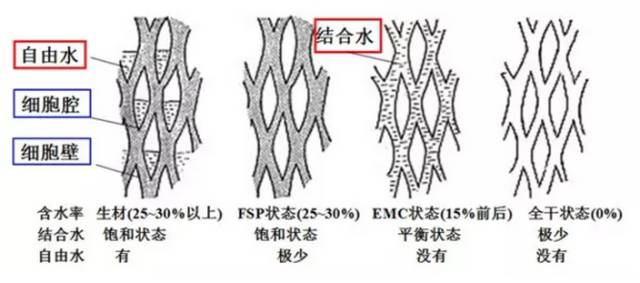 纖維飽和點