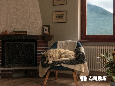 養寵物適合鋪裝強化地板嗎